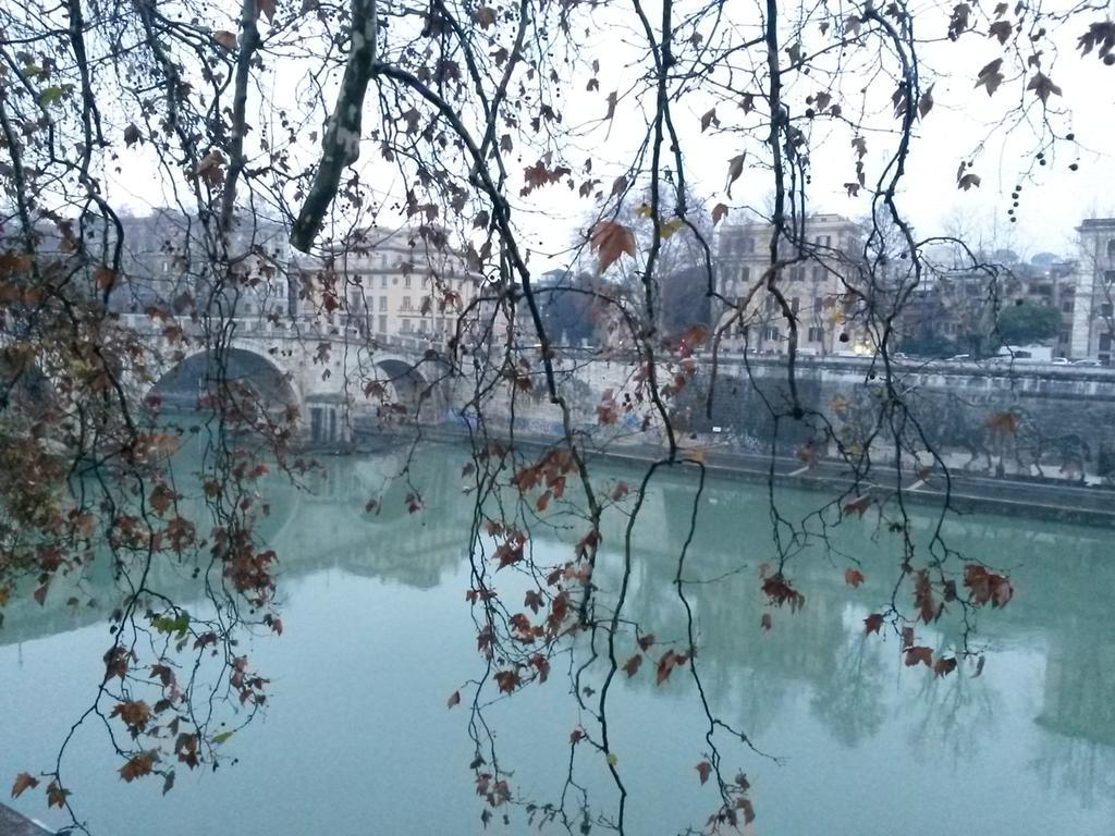 La Finestra Su Campo De Fiori * Roma